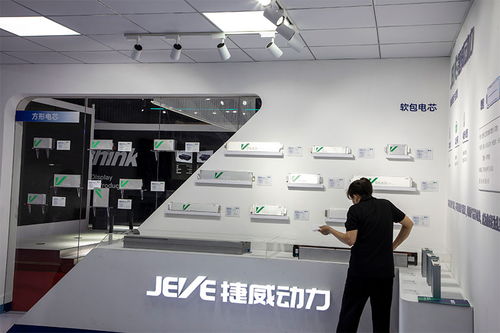天津電池廠停產潮起，日用品批發視角下的2024年行業白熱化競爭